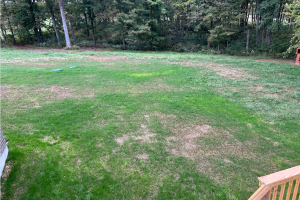 Backyard with patchy green grass, bare dirt patches, a tree line in the background, and a wooden deck railing at the bottom right.