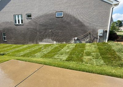 Residential – Sod Installation (Northern Kentucky)