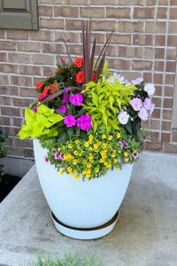White ceramic planter filled with red, pink, yellow, and purple flowers against a brick wall.