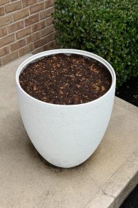 White oval ceramic planter filled with dark potting soil on a concrete sidewalk beside a brick wall and green shrubbery.