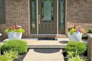 Front entry to a brick house with a dark paneled door, flanked by two large white planters with colorful flowers and tidy shrubs.